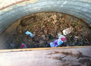 He blends in with the leaves but look up and to the left.  