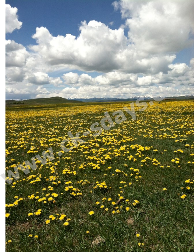 Wyoming scene without the fence
