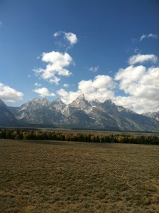 Why have I never gone through Grand Teton National Park in the fall? It is a must.