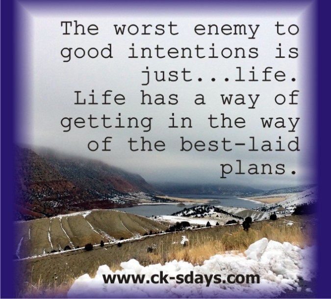 enemy-to-good-intentions