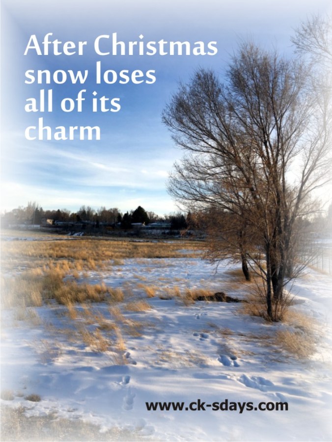 no charm snow