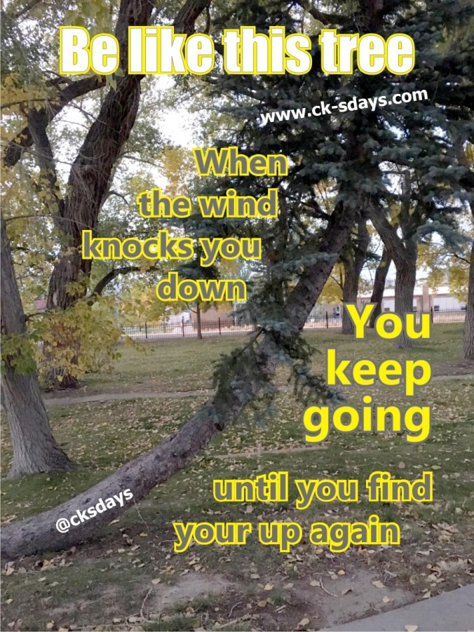 go until you find your up