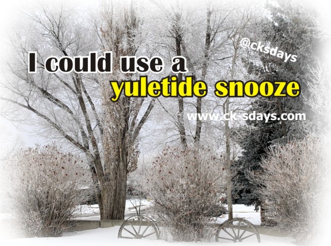 Yuletide snooze