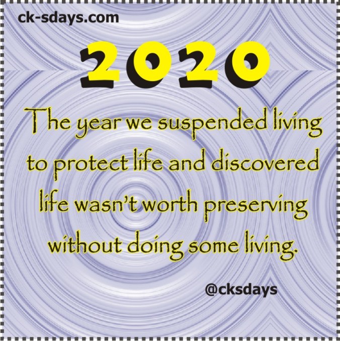 2020 suspended living